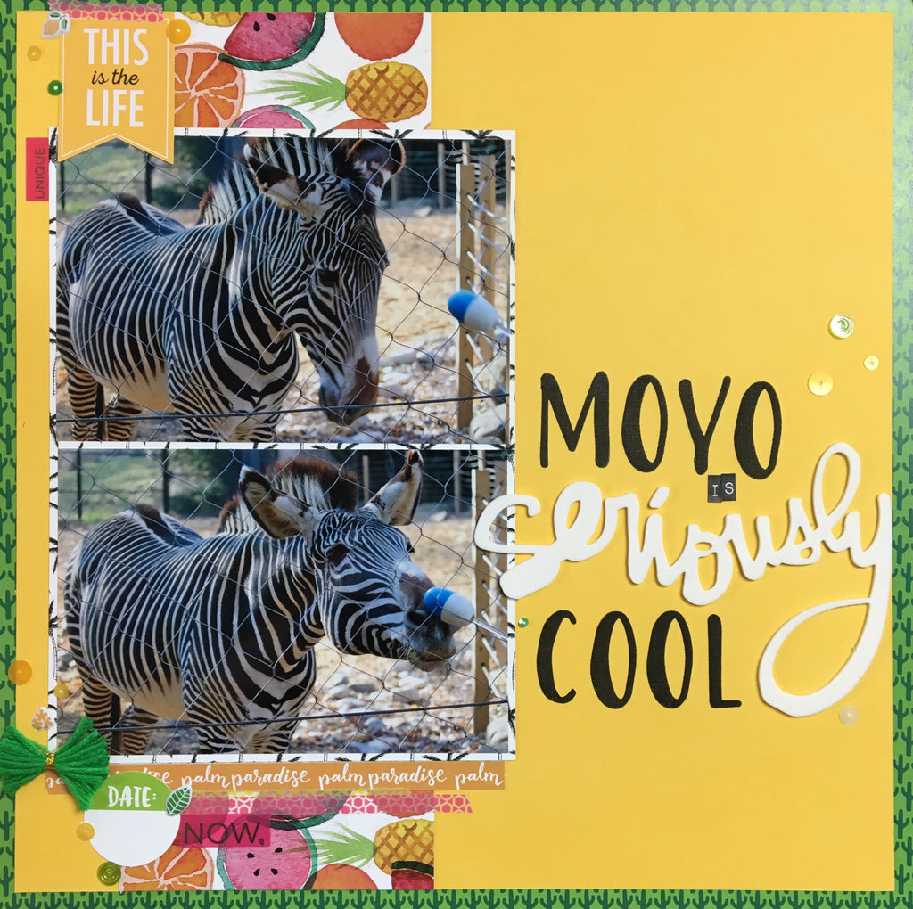 Moyo is Seriously Cool by Katelyn
