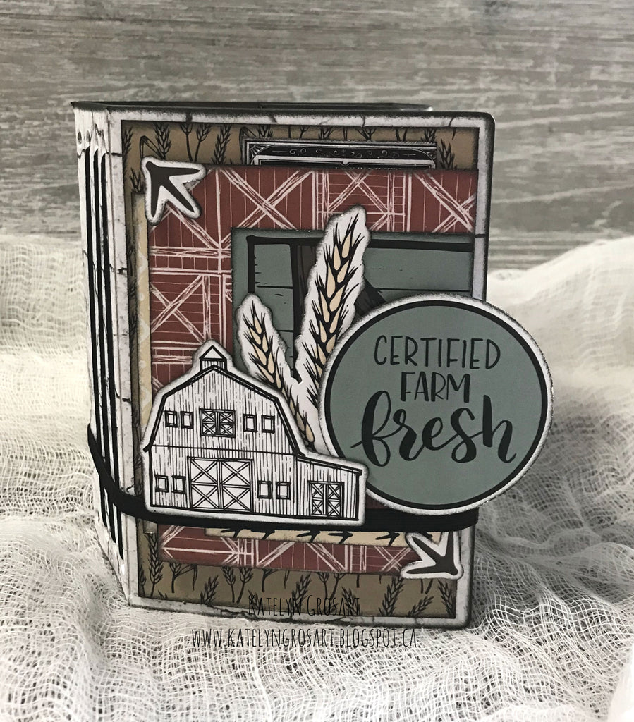 Certified Farm Fresh Mini Album by Katelyn G