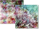 Pam Bray - Watercolor 6x6 DOUBLE Paper Pack