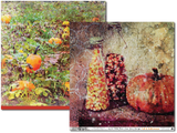Pam Bray - Fall & Halloween DOUBLE 12x12 Paper Pack