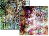 Pam Bray - Watercolor 6x6 DOUBLE Paper Pack